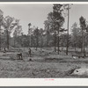 Clearing land. Sabine Farms, Marshall, Texas