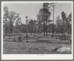 Clearing land. Sabine Farms, Marshall, Texas