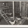 Chicken house on Sabine Farms. Marshall, Texas