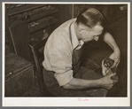 Bootmaker putting tack into upper part of boot before slipping in onto last and sole. Boot shop, Alpine, Texas