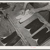 The pattern for the stitching on the uppers is transferred to the leather by means of talc through perforations in the pattern. Boot making shop, Alpine, Texas. Each of the bootmakers has his own patterns which he has fashioned