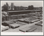 Railroad yards showing stored lumber. Marshall, Texas