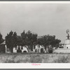 House in Midland, Texas, with its individual windmill to furnish water for yard, garden, and flowers
