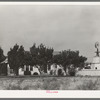 House in Midland, Texas, with its individual windmill to furnish water for yard, garden, and flowers