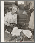 Branding calf. Cattle ranch near Marfa, Texas