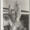Owner of the "Walking X" Ranch branding calf near Marfa, Texas