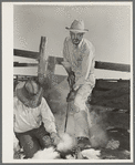 Owner of the "Walking X" Ranch branding calf near Marfa, Texas
