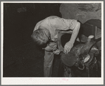 Repairing saddle. Alpine, Texas, saddle shop
