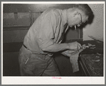 Hand skiving of leather. Saddle shop, Alpine, Texas