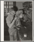 Repairing a saddle. Saddle shop, Alpine, Texas