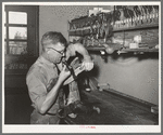 Repairing a saddle. Saddle shop, Alpine, Texas