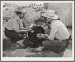 Mexican cowboys washing up after roundup. Cattle ranch near Marfa, Texas