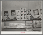 Display in saddle shop showing different types of saddles. Alpine, Texas
