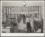 Cowboy examining saddle. Ranch supply store, Alpine, Texas