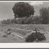 Old feed trough. Ranch near Marfa, Texas