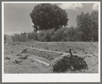 Old feed trough. Ranch near Marfa, Texas