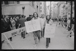 St. Patrick's Cathedral demonstration