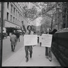 St. Patrick's Cathedral demonstration