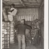 Unloading a carload of cotton at compress. Houston, Texas