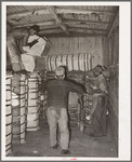 Unloading a carload of cotton at compress. Houston, Texas