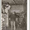 Unloading a carload of cotton at compress. Houston, Texas