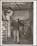 Unloading a carload of cotton at compress. Houston, Texas