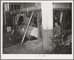 Placing a bale of cotton into compressing unit. Compress, Houston, Texas. After going through compresser bale of cotton is about one third its original size. Houston, Texas