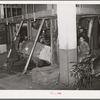 Placing a bale of cotton into compressing unit. Compress, Houston, Texas. After going through compresser bale of cotton is about one third its original size. Houston, Texas