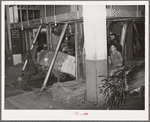 Placing a bale of cotton into compressing unit. Compress, Houston, Texas. After going through compresser bale of cotton is about one third its original size. Houston, Texas