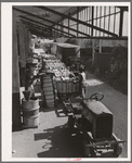 Unloading bales of cotton from truck-drawn trailers at compress, Houston Texas. Cotton was transported to the compress from Oklahoma in large trucks in background