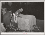 Negro women cleaning up damaged bales of cotton. Compress, Houston, Texas