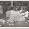 Negro women cleaning up damaged bales of cotton. Compress, Houston, Texas