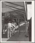 Weighing cotton at unloading platform. Compress, Houston, Texas