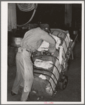 Cutting burlap bag to take sample of cotton from bale. Compress, Houston, Texas