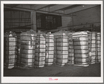 Bales of cotton in warehouse. Compress, Houston, Texas