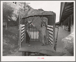 Unloading truckload of cotton. Compress, Houston, Texas