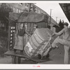 Unloading truckload of cotton. Compress, Houston, Texas
