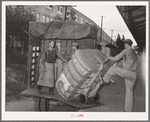 Unloading truckload of cotton. Compress, Houston, Texas