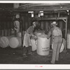 Loading round bales of cotton onto conveyer at compress, Houston, Texas. These are not full bales