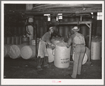 Loading round bales of cotton onto conveyer at compress, Houston, Texas. These are not full bales