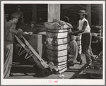 Putting bale of cotton onto hand truck. Compress, Houston, Texas