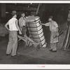 Guiding compressed bale of cotton onto hand truck. Compress, Houston, Texas