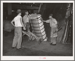 Guiding compressed bale of cotton onto hand truck. Compress, Houston, Texas