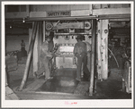 Negro laborers placing bands around compressed bale of cotton. Compress, Houston, Texas