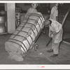 "Killing the spiders" on a bale of cotton. This means knocking down the jagged edges and wire joints. In Texas there is a state law requiring any person handling a bale of cotton to "kill the spiders." Compress, Houston, Texas