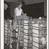 Mexican trucker eating lunch atop bales of cotton. Compress, Houston, Texas
