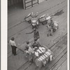 Longshoremen at the cotton docks. Port of Houston, Texas