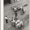 Longshoremen at the cotton docks. Port of Houston, Texas