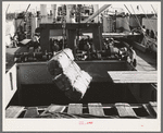 Loading cotton into hold of ship. Port of Houston, Texas