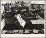 Loading cotton into hold of ship. Port of Houston, Texas